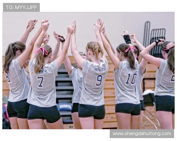 排球新手必看:提升个人能力的全面入门指南与实用技巧分享